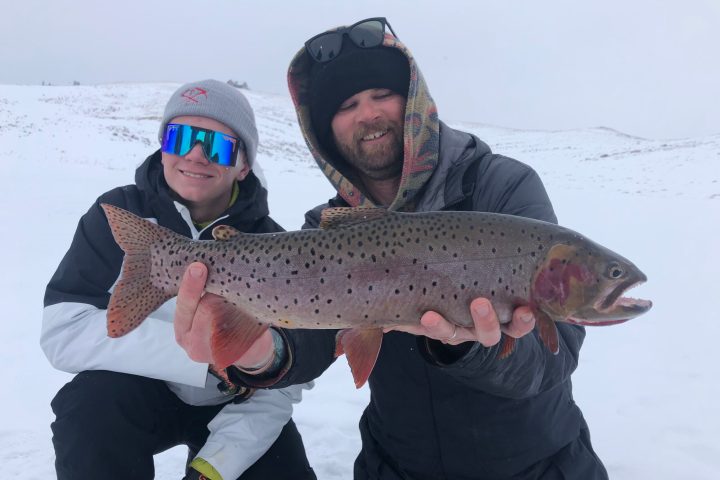 a hand holding a fish in the snow